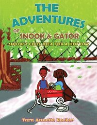 bokomslag The Adventure of Snook & Gator