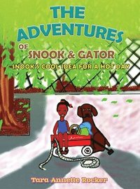 bokomslag The Adventure of Snook & Gator: Snook's Cool Idea for a Hot Day