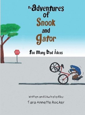 bokomslag The Adventures of Snook and Gator