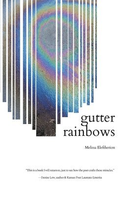 bokomslag gutter rainbows