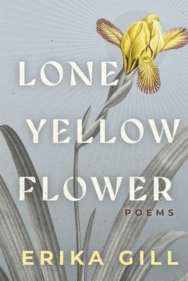 Lone Yellow Flower 1