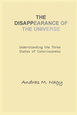 bokomslag Disappearance of the Universe