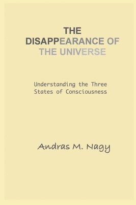 The Disappearance of the Universe 1