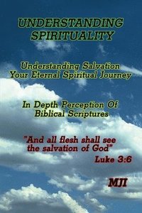 bokomslag Understanding Spirituality
