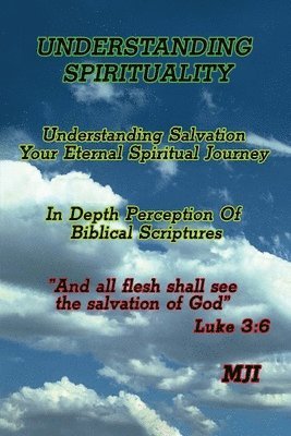 bokomslag Understanding Spirituality