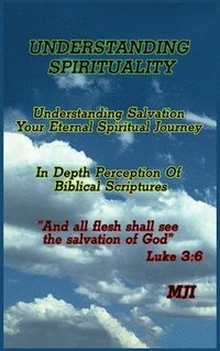 bokomslag Understanding Spirituality