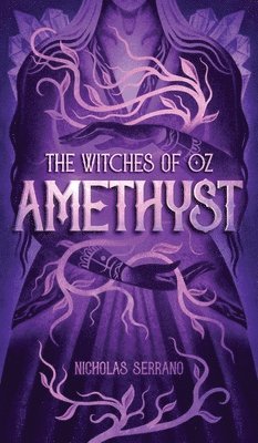 bokomslag Amethyst (The Witches of Oz #1)