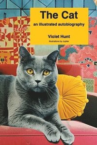bokomslag Cat