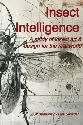 bokomslag Insect Intelligence