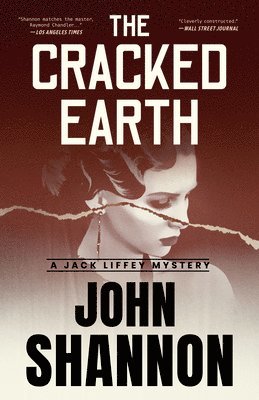 Cracked Earth 1