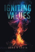 bokomslag Igniting Values