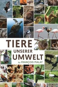 bokomslag Tiere unserer Umwelt
