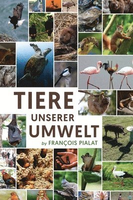 bokomslag Tiere unserer Umwelt