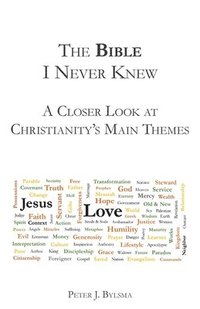 bokomslag The Bible I Never Knew: A Closer Look At Christianity's Main Themes
