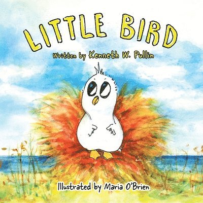 Little Bird 1