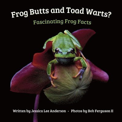 Frog Butts and Toad Warts? Fascinating Frog Facts 1