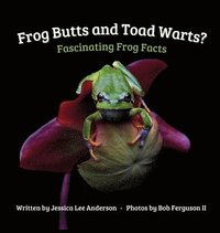 bokomslag Frog Butts and Toad Warts? Fascinating Frog Facts