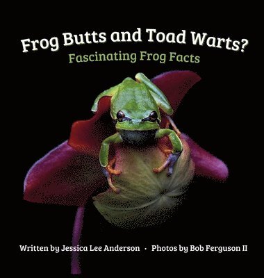 bokomslag Frog Butts and Toad Warts? Fascinating Frog Facts