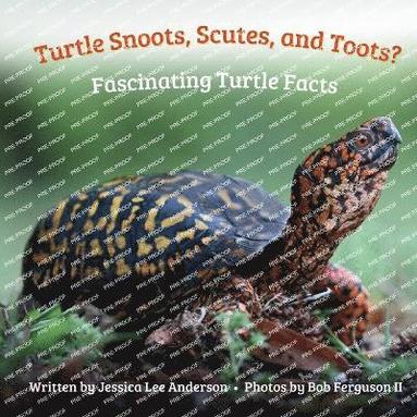 bokomslag Turtle Snoots, Scutes, and Toots? Fascinating Turtle Facts