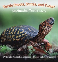 bokomslag Turtle Snoots, Scutes, and Toots? Fascinating Turtle Facts