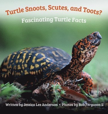 bokomslag Turtle Snoots, Scutes, and Toots? Fascinating Turtle Facts