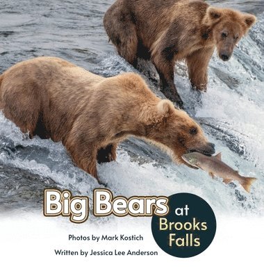 bokomslag Big Bears at Brooks Falls
