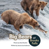 bokomslag Big Bears at Brooks Falls