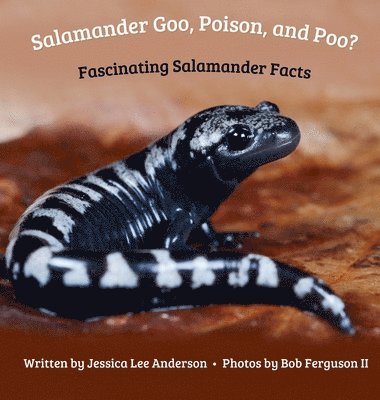 Salamander Goo, Poison, and Poo? Fascinating Salamander Facts