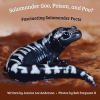 bokomslag Salamander Goo, Poison, and Poo? Fascinating Salamander Facts