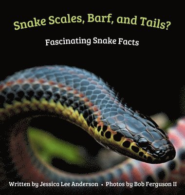 Snake Scales, Barf, and Tails? Fascinating Snake Facts