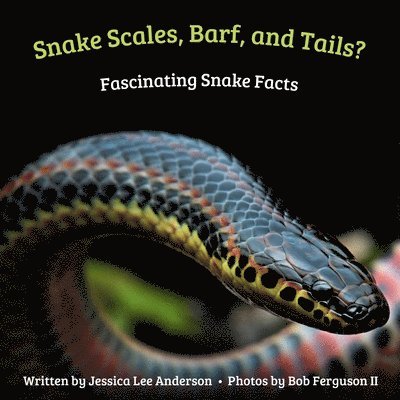 Snake Scales, Barf and Tails? Fascinating Snake Facts