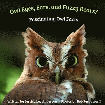 Owl Eyes, Ears, and Fluffy Rears?