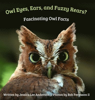 Owl Eyes, Ears, and Fluffy Rears? Fascinating Owl Facts