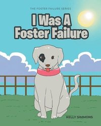 bokomslag I Was A Foster Failure