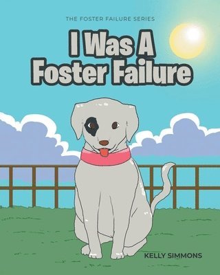 I Was A Foster Failure