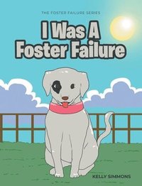 bokomslag I Was A Foster Failure