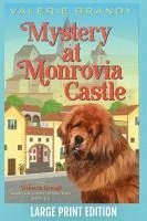 bokomslag Mystery at Monrovia Castle