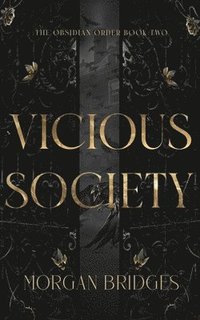 bokomslag Vicious Society