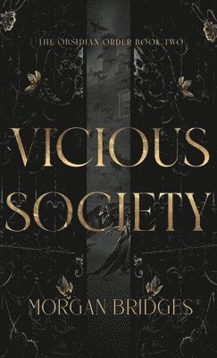 bokomslag Vicious Society