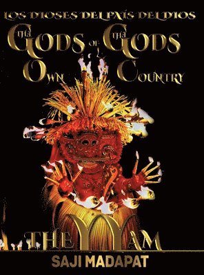 Saji Madapat, Tiger Rider, Epm Mavericks - Dioses del País del Dios, Inbunden