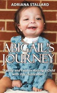 bokomslag Abigail's Journey