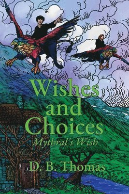bokomslag Wishes and Choices