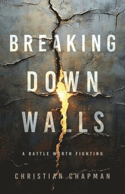 bokomslag Breaking Down Walls