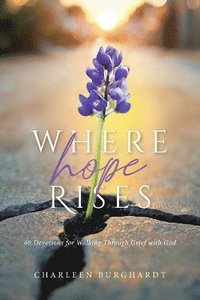 bokomslag Where Hope Rises