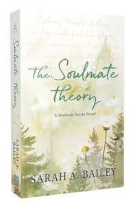 bokomslag The Soulmate Theory