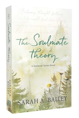bokomslag The Soulmate Theory