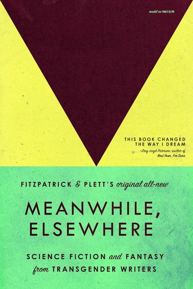 Ryka Aoki, Jeanne Thornton, Imogen Binnie, Cat Fitzpatrick, Casey Plett - Meanwhile, Elsewhere, Häftad
