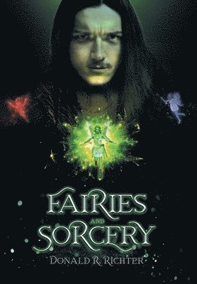 bokomslag Fairies and Sorcery