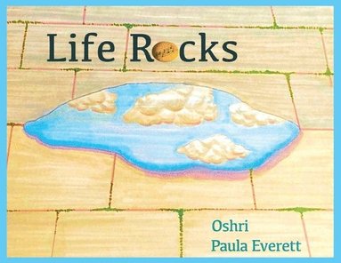 bokomslag Life Rocks