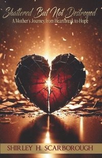 bokomslag Shattered But Not Destoyed